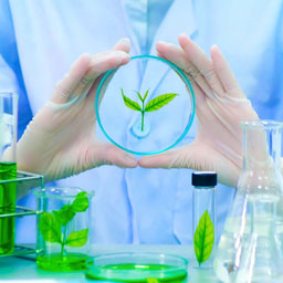 Apie Tavo Šampūną