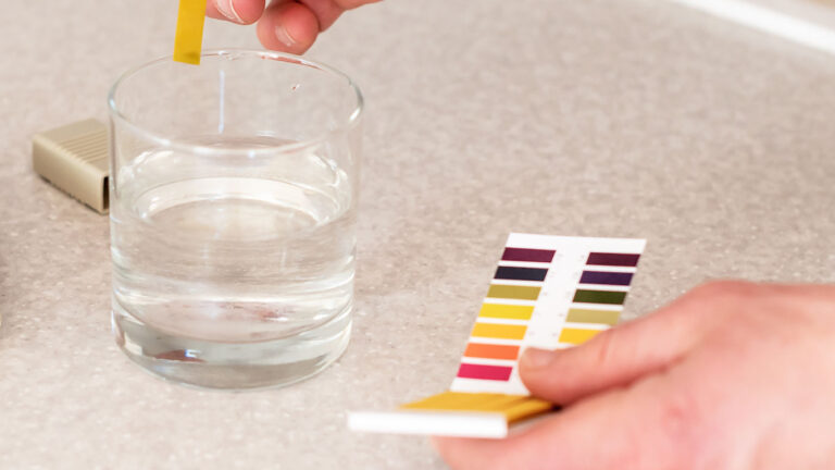 The sulphate myth: What really damages hair? (And why no one wants to talk about it out loud)