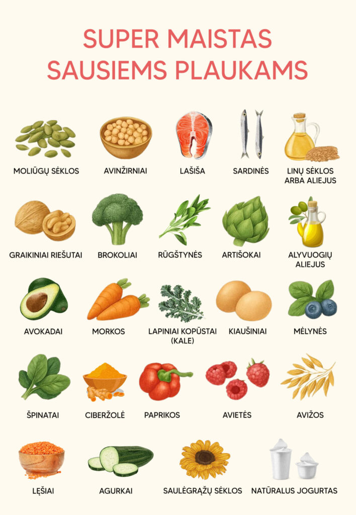 maistas sausiems plaukams